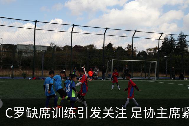 C罗缺席训练引发关注 足协主席紧急赶赴丹麦协调局势